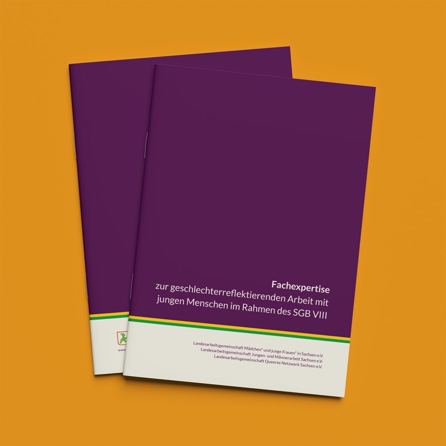 Vorschau-Thumb des Downloads zum Thema "geschlechterreflektierende Arbeit"