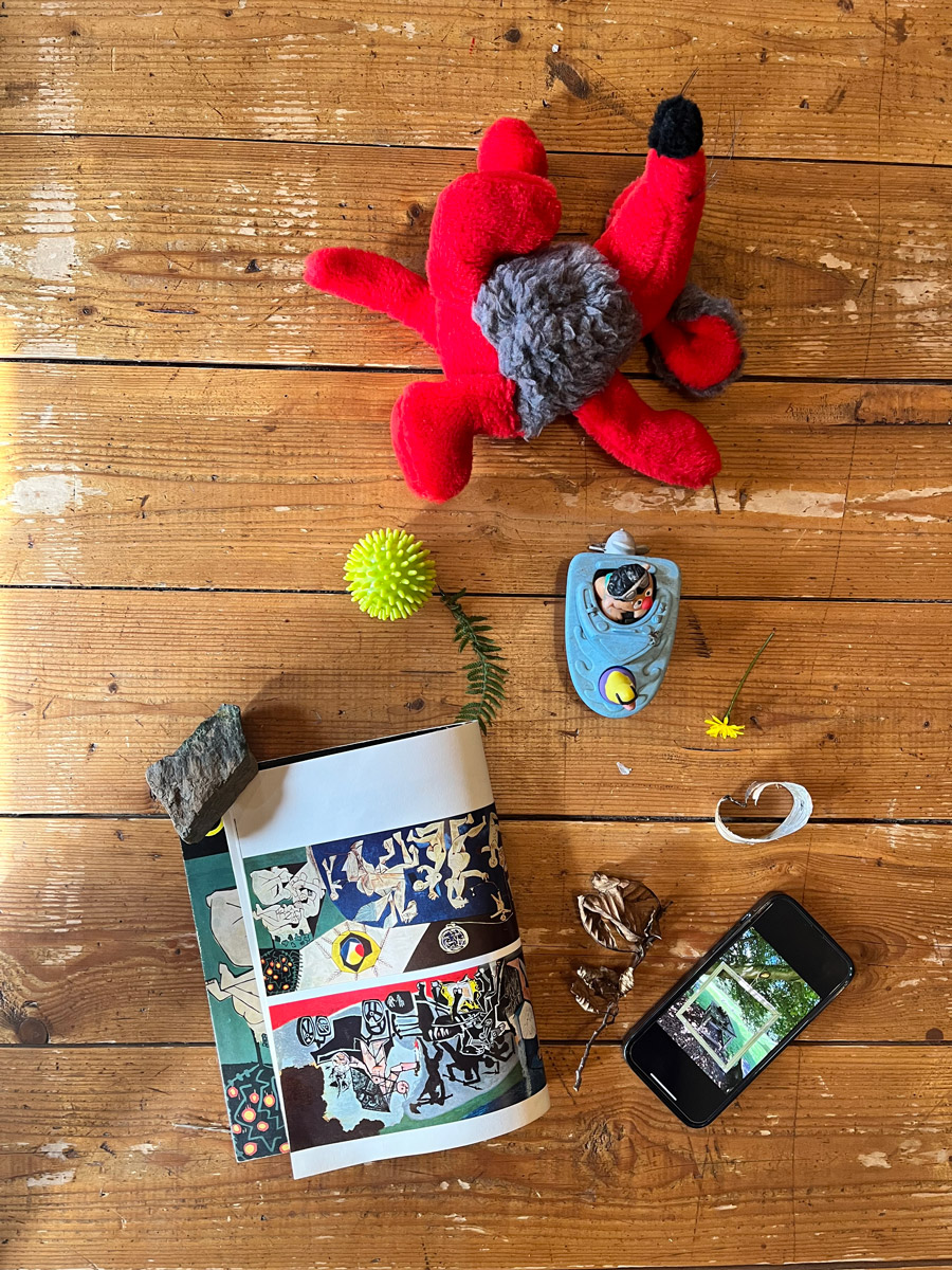 Objekte liegen auf einem Holzboden. Plüschtier Zonk, Broschur, Blumen, Handy